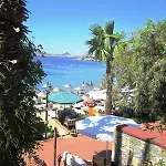 Deniz Битез