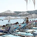 Deniz