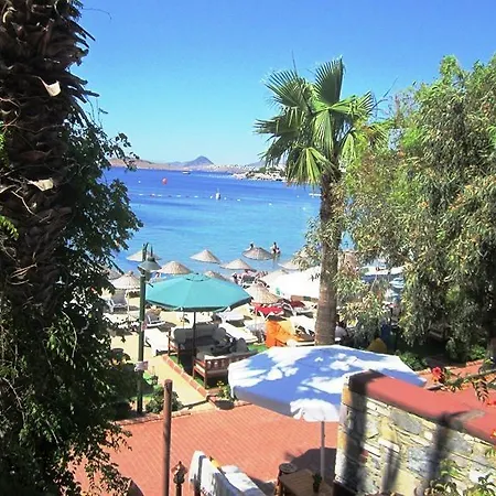 Deniz Bitez