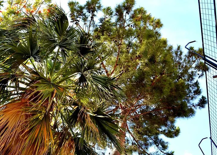 Deniz מלון ביטז